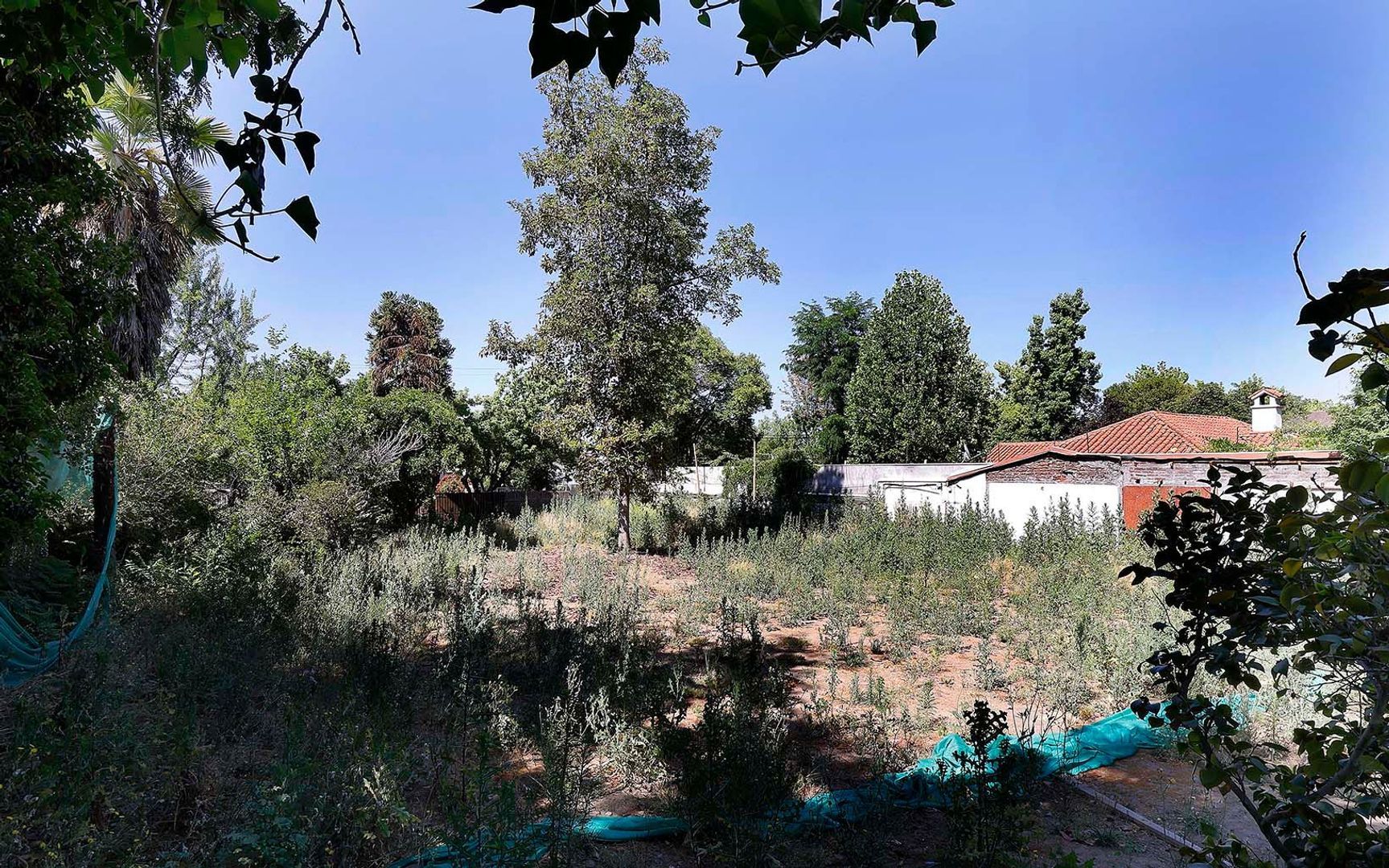 Nocedal, Santiago foto-10