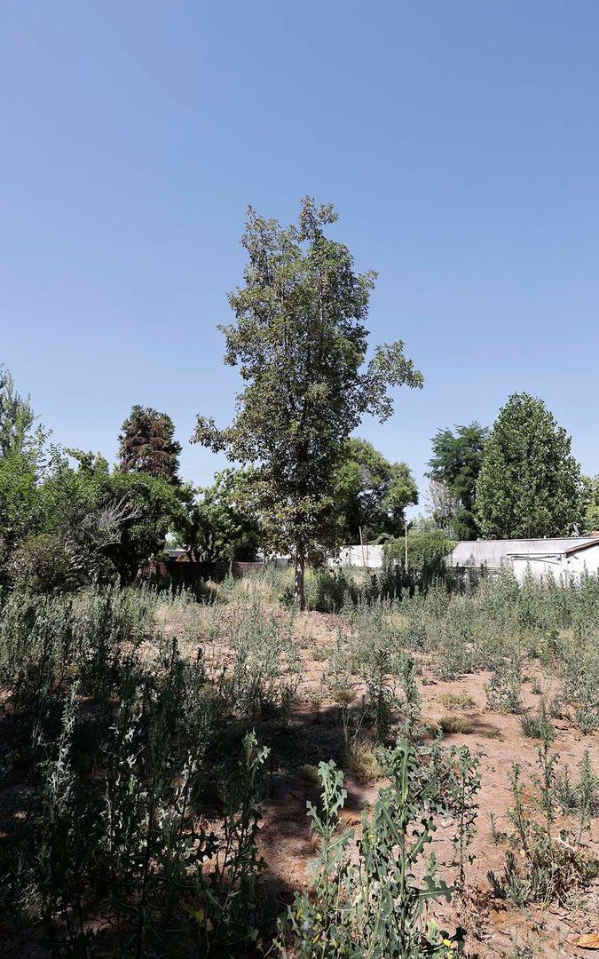 Nocedal, Santiago foto-27