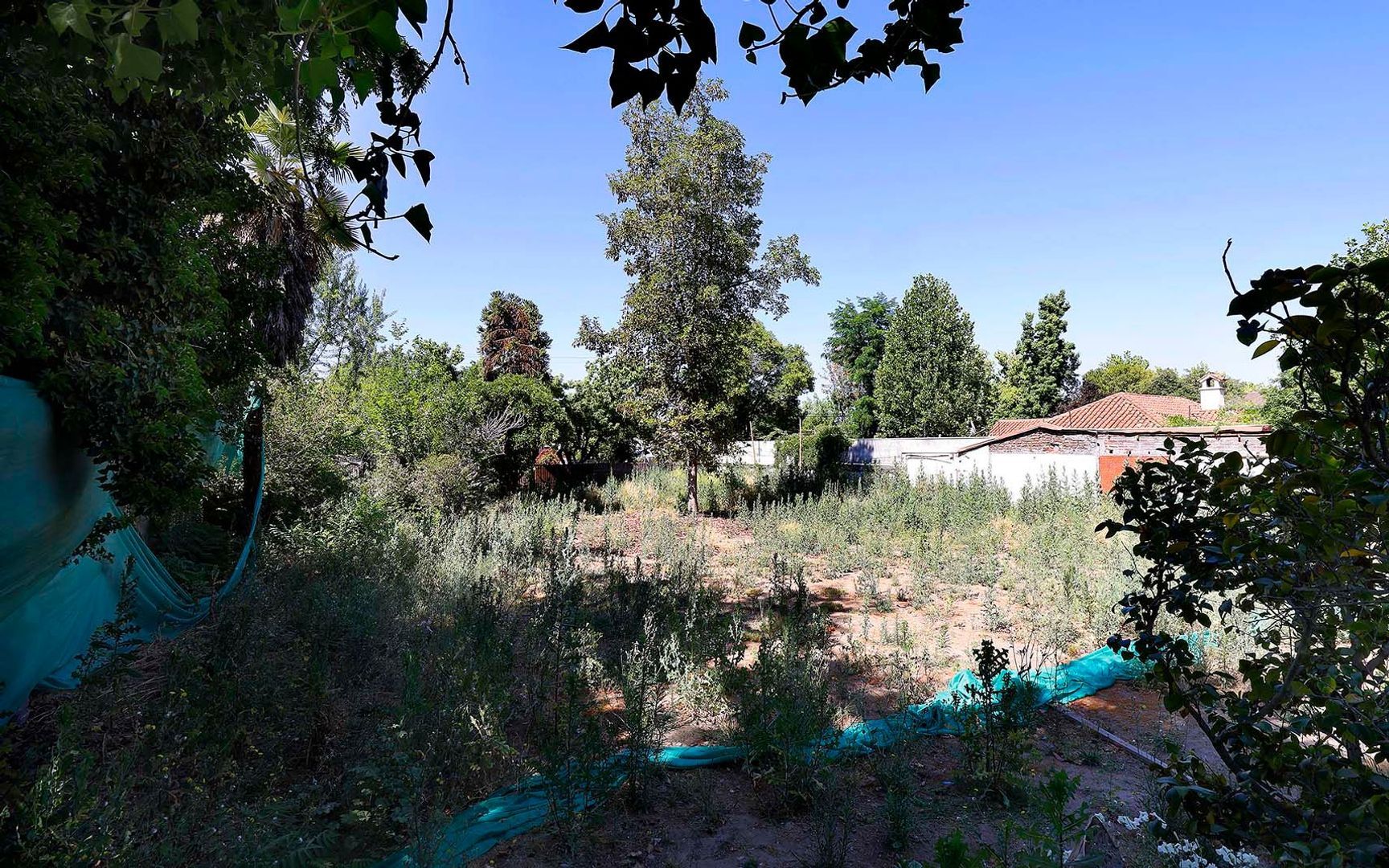 Nocedal, Santiago foto-11