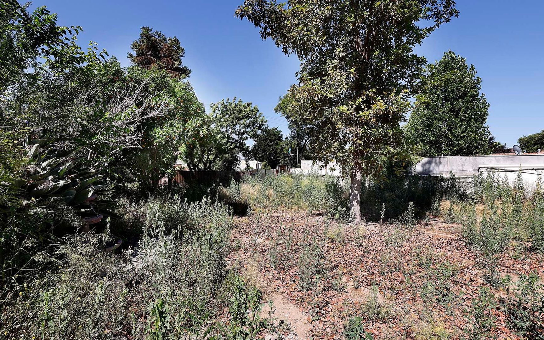 Nocedal, Santiago foto-14