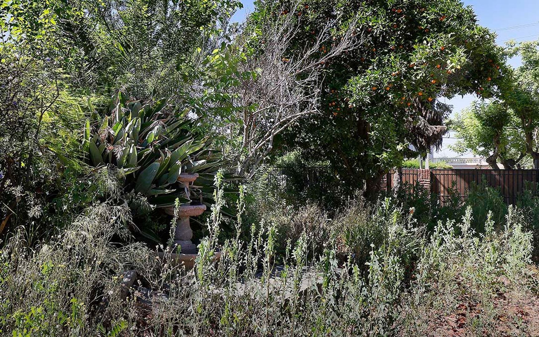 Nocedal, Santiago foto-16