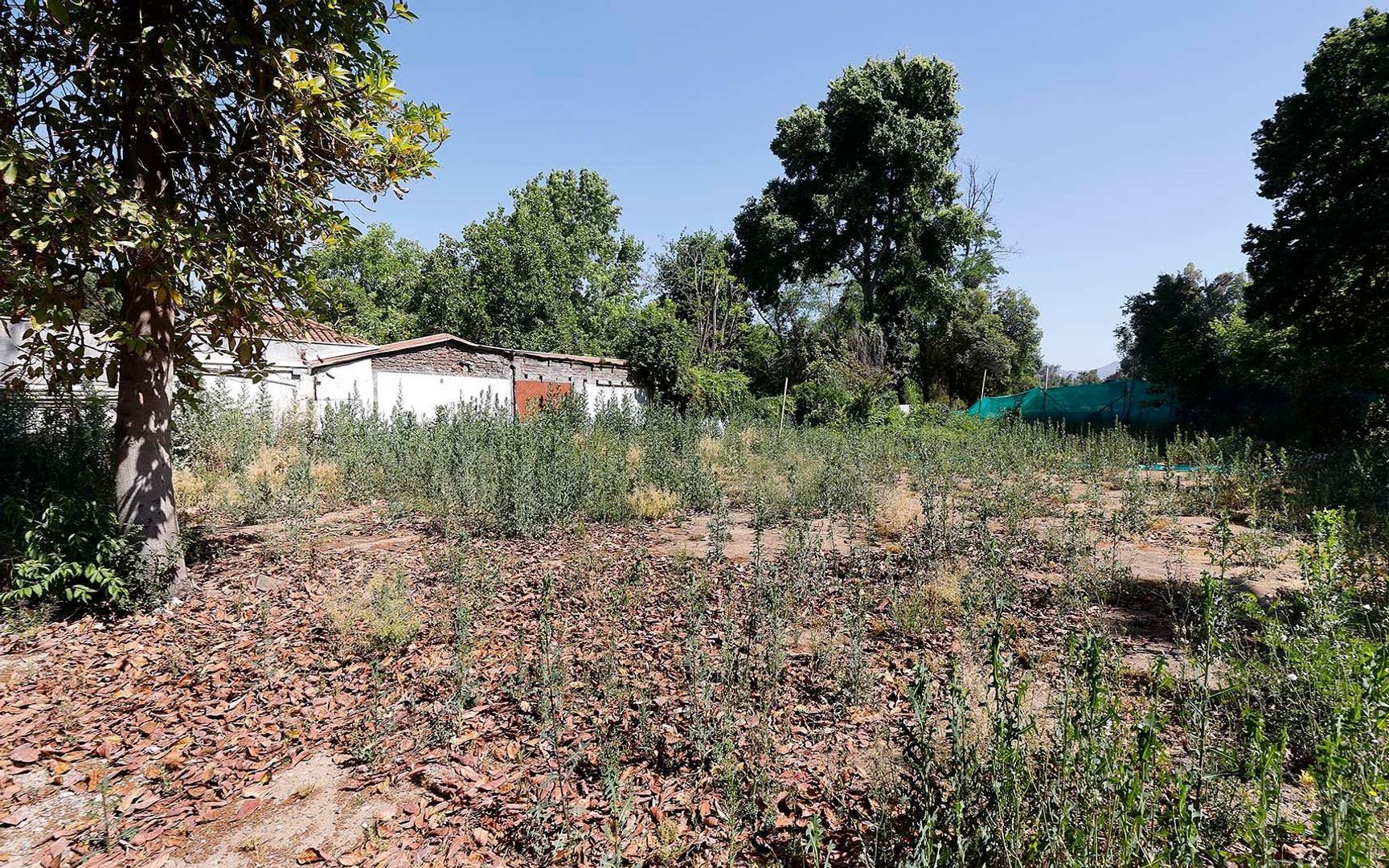 Nocedal, Santiago foto-17