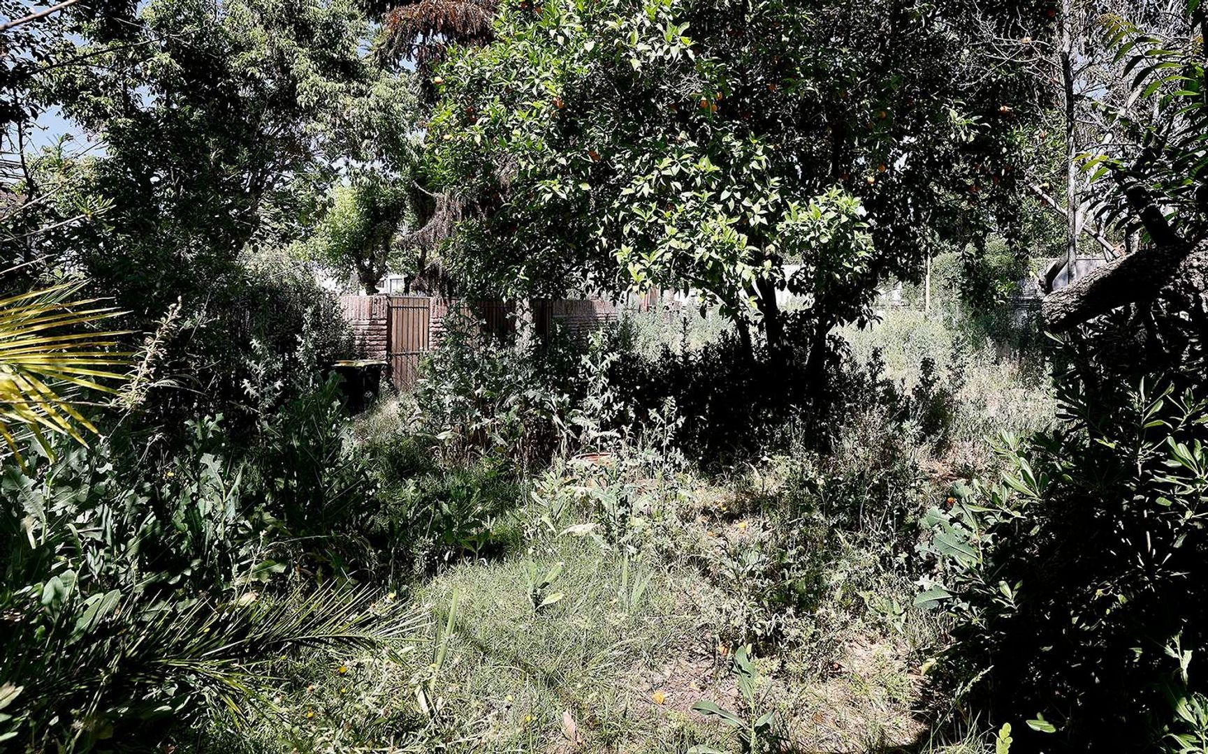 Nocedal, Santiago foto-19