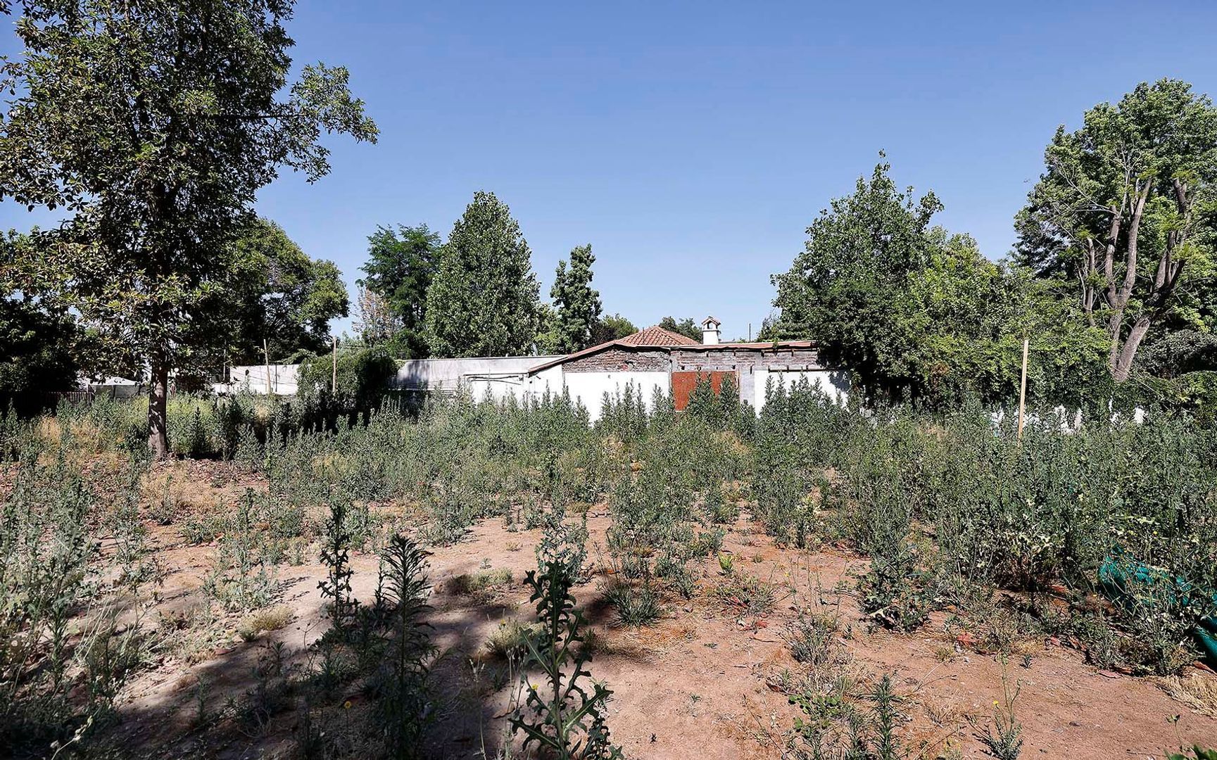 Nocedal, Santiago foto-13