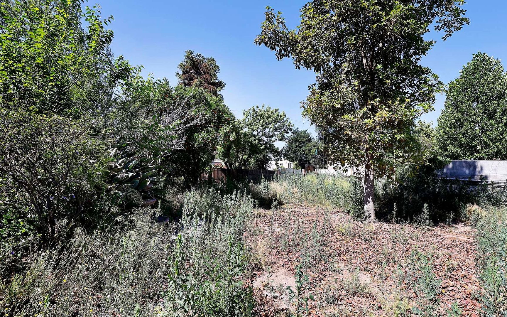 Nocedal, Santiago foto-8