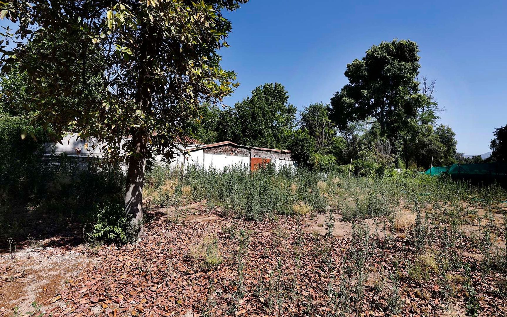 Nocedal, Santiago foto-18