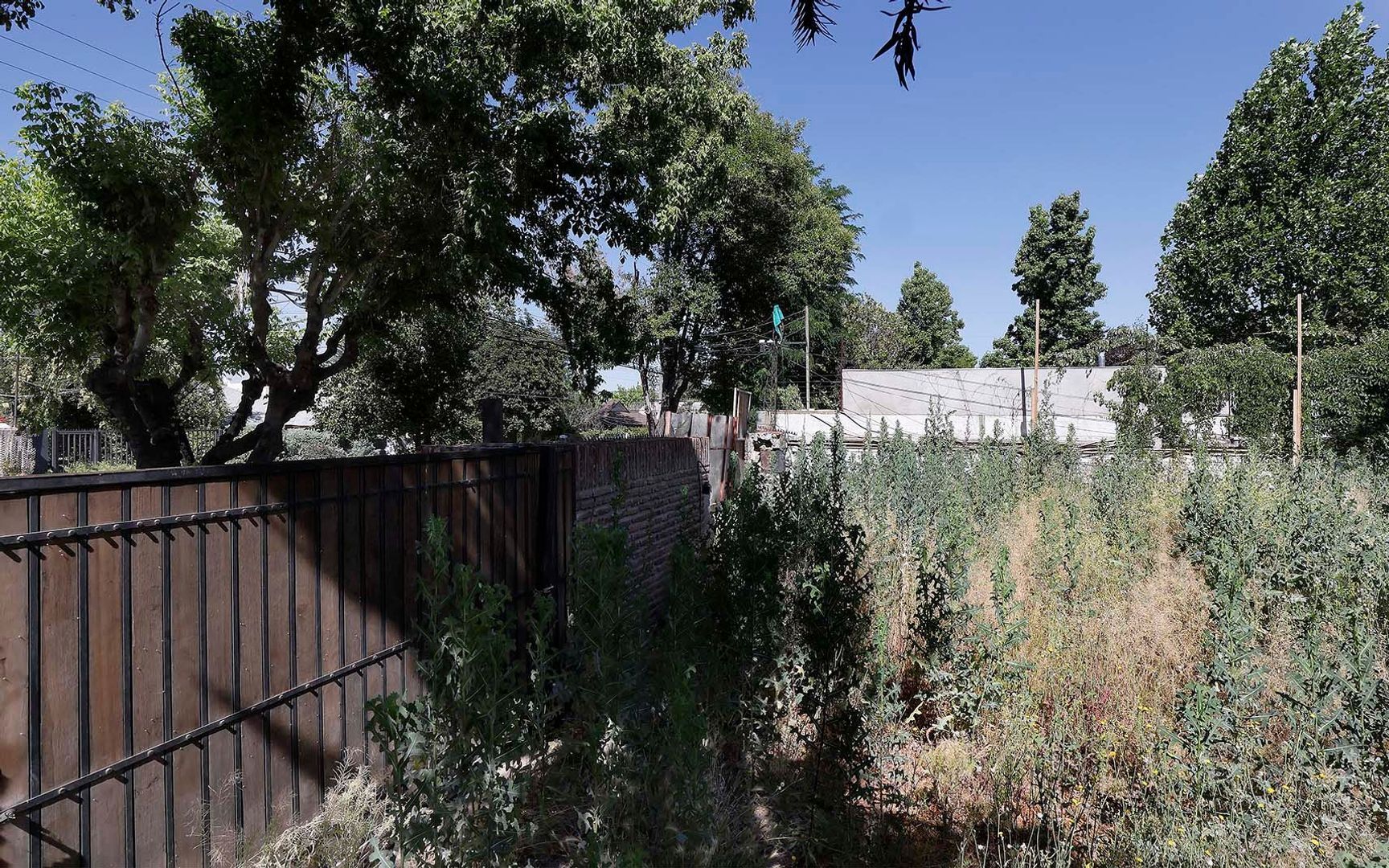 Nocedal, Santiago foto-2