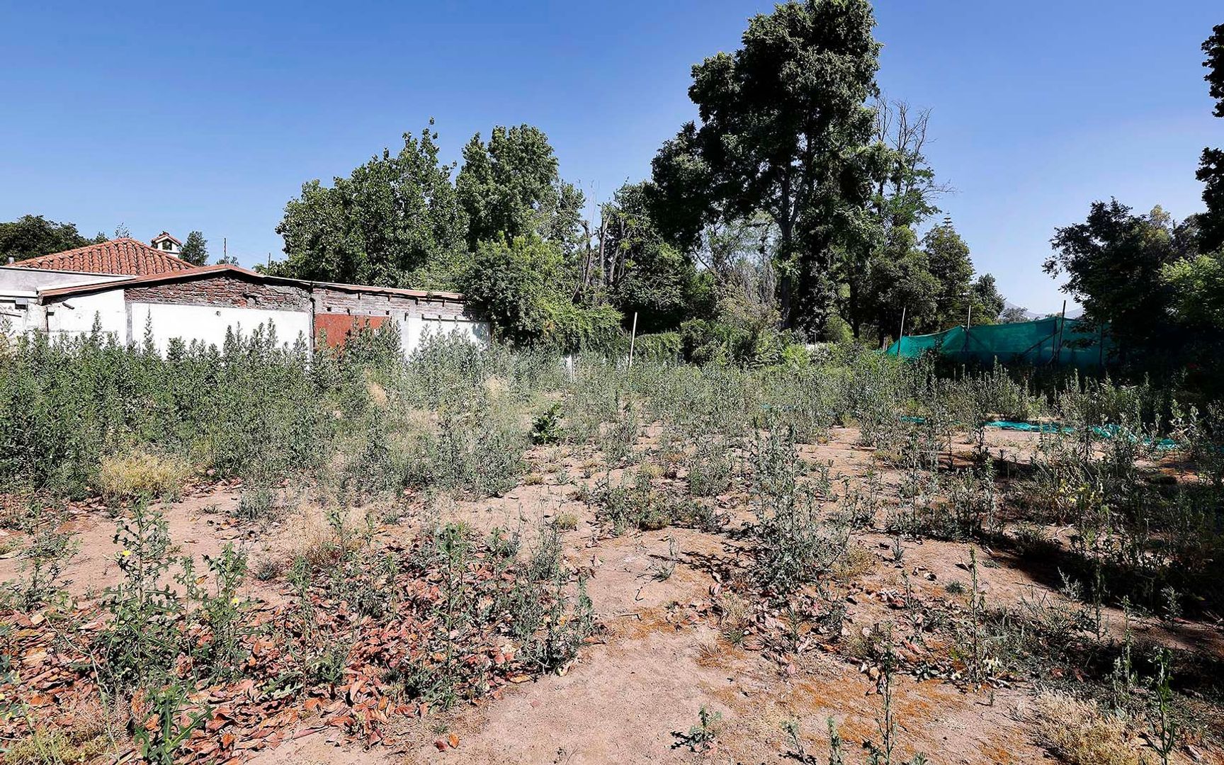 Nocedal, Santiago foto-15