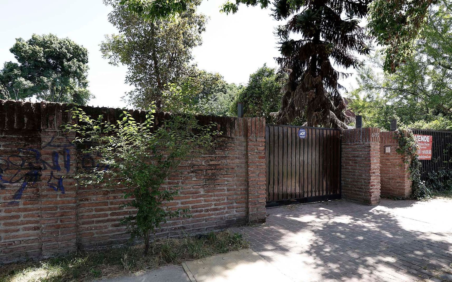 Nocedal, Santiago foto-1