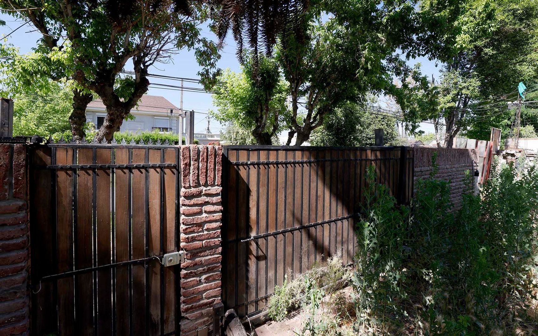 Nocedal, Santiago foto-4