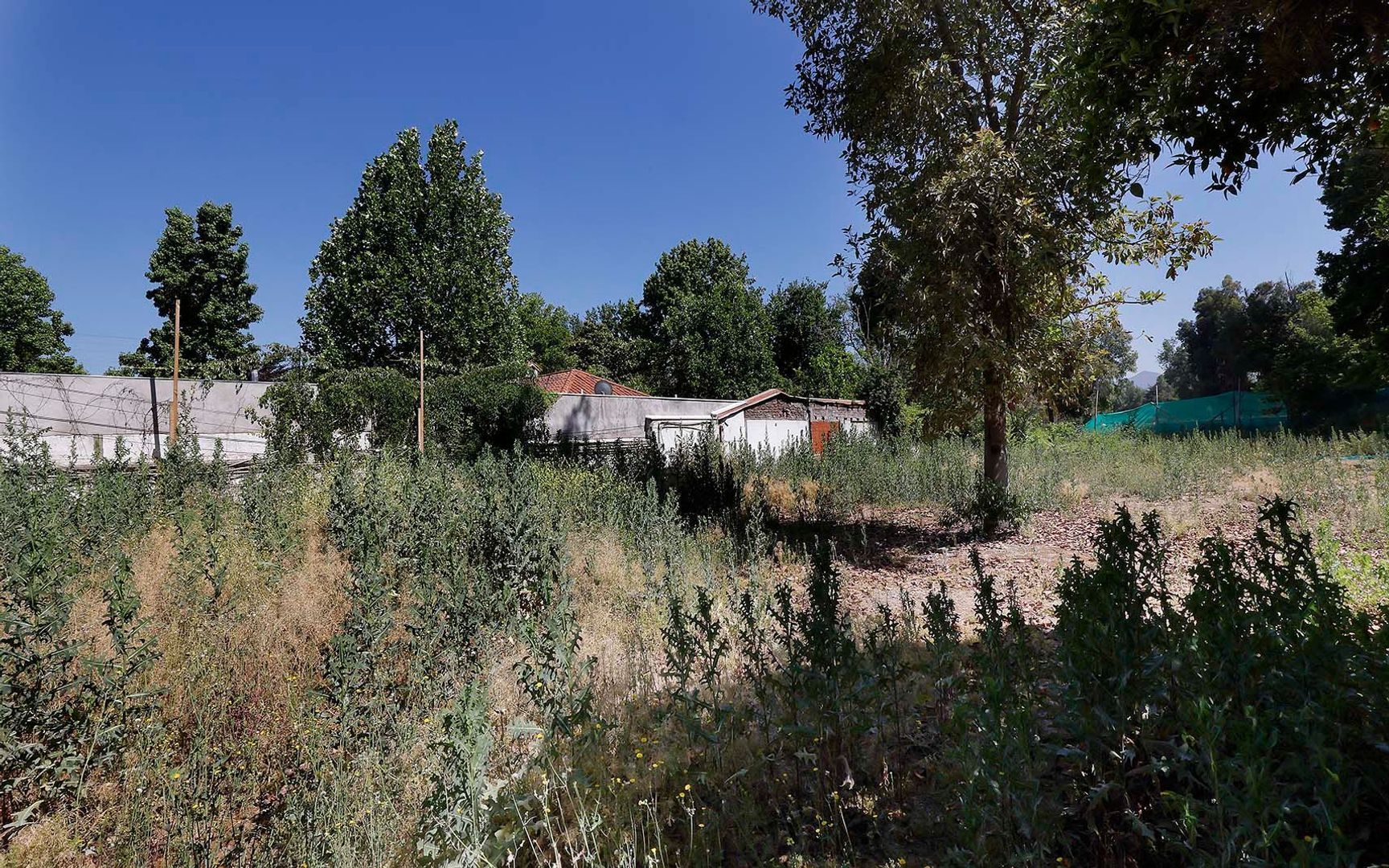 Nocedal, Santiago foto-21