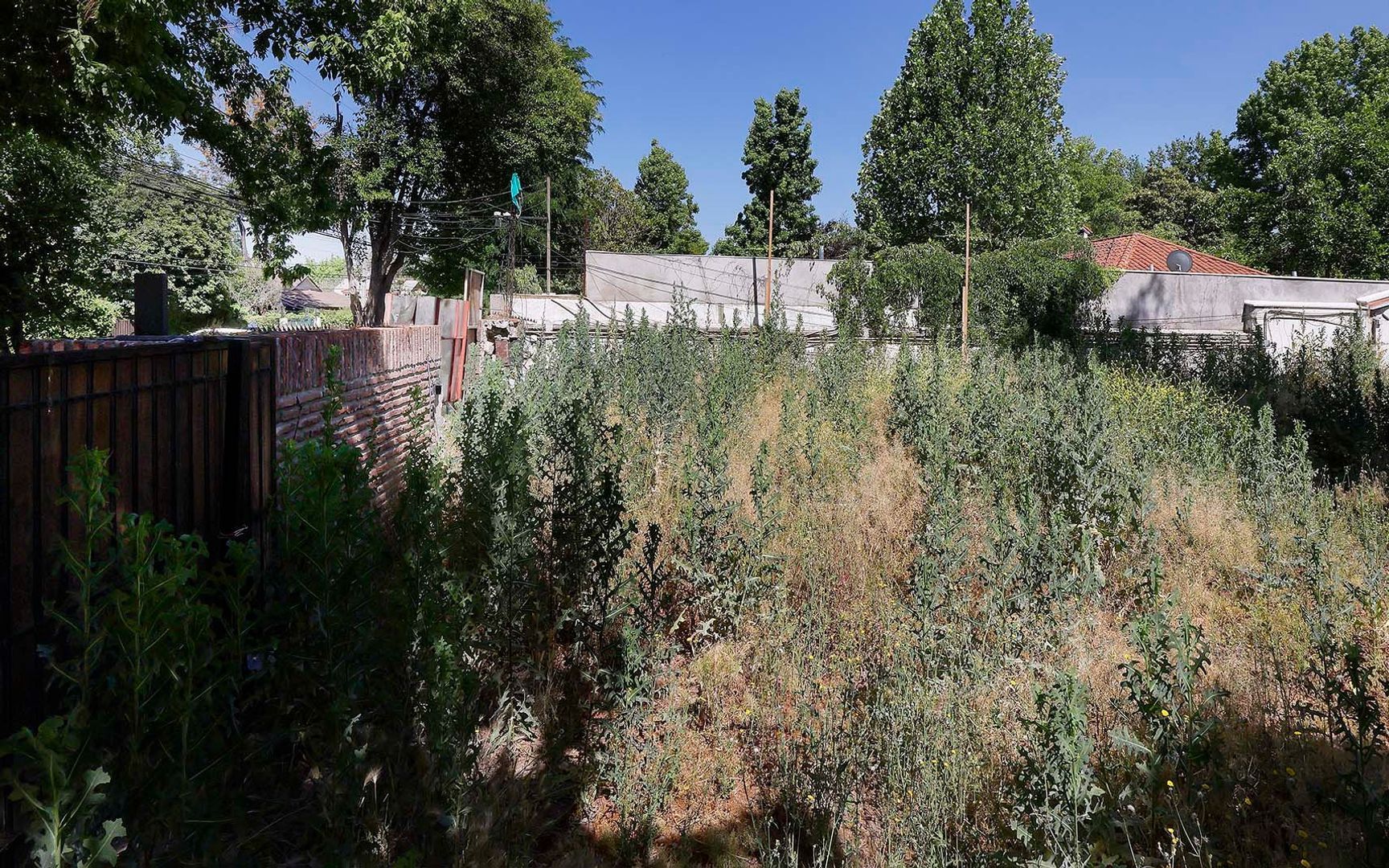 Nocedal, Santiago foto-20