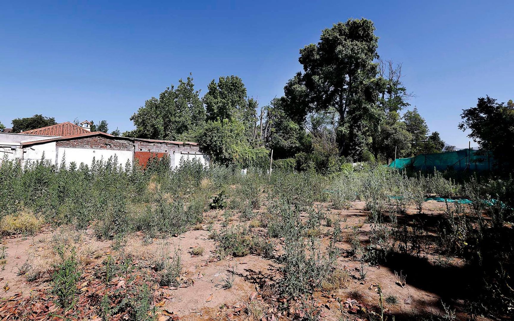 Nocedal, Santiago foto-9