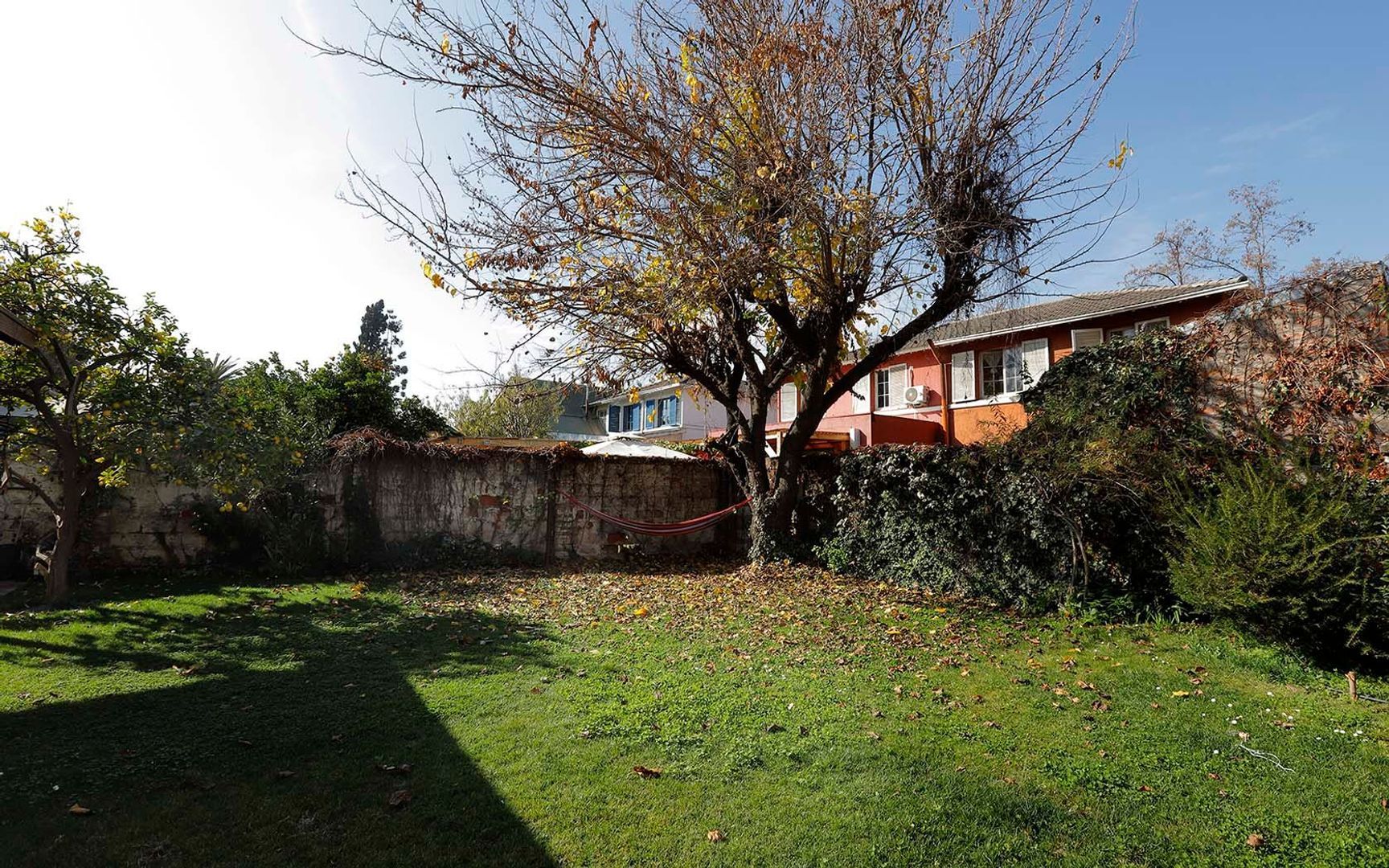 Emilia Téllez, Santiago foto-15