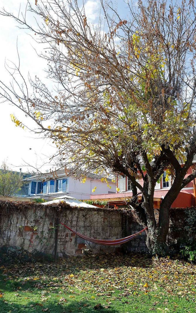 Emilia Téllez, Santiago foto-13