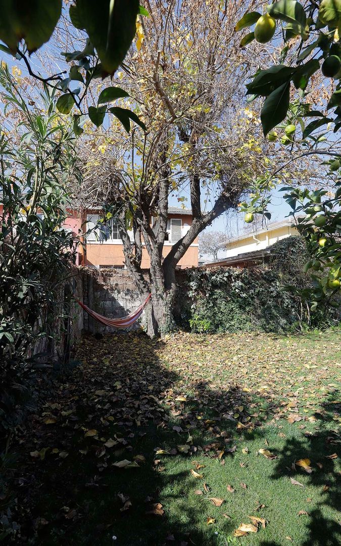 Emilia Téllez, Santiago foto-14