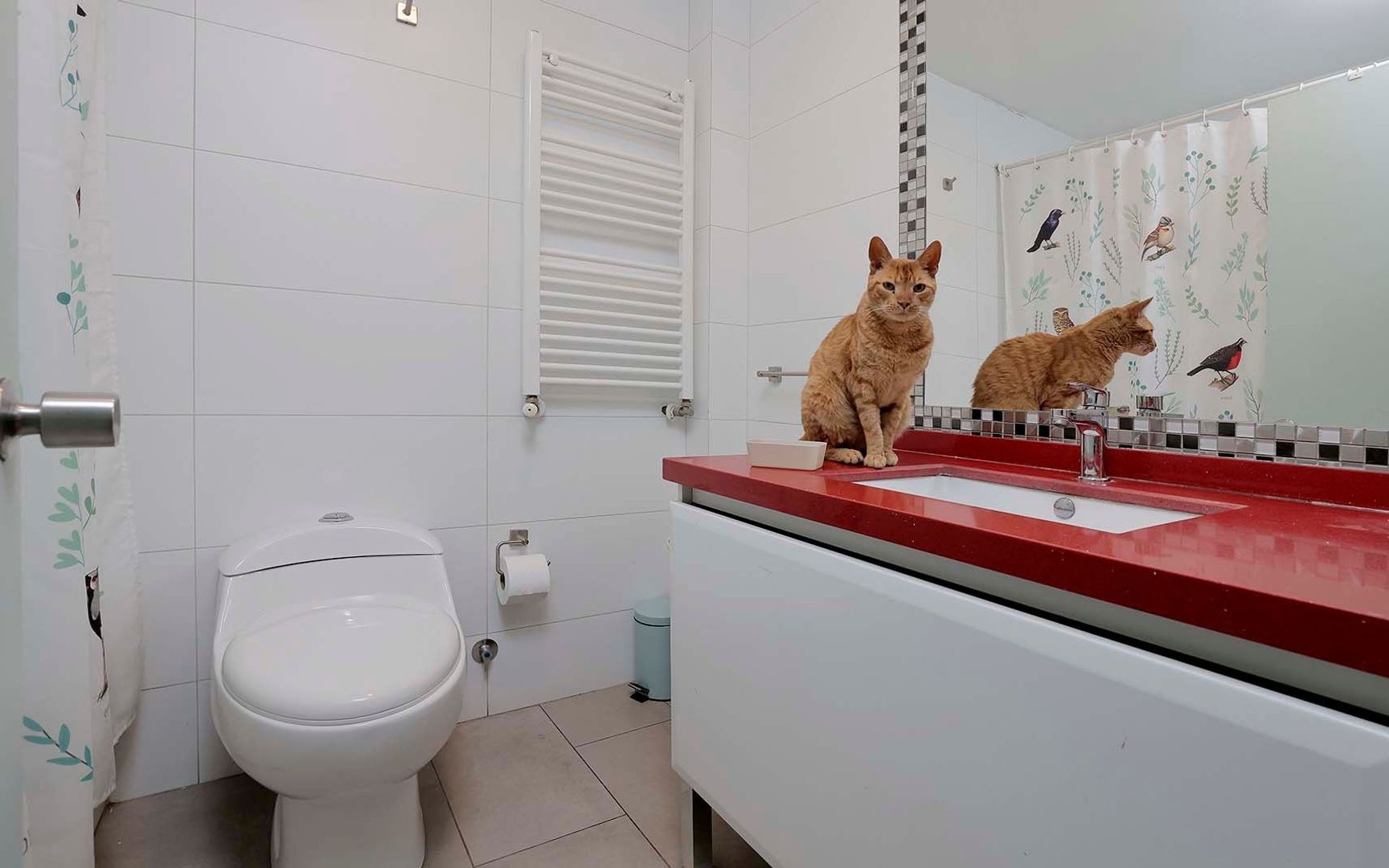 Juan Palau, Santiago foto-24