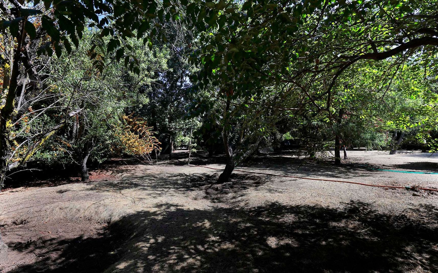 Santa Ester de Liray, Santiago foto-40