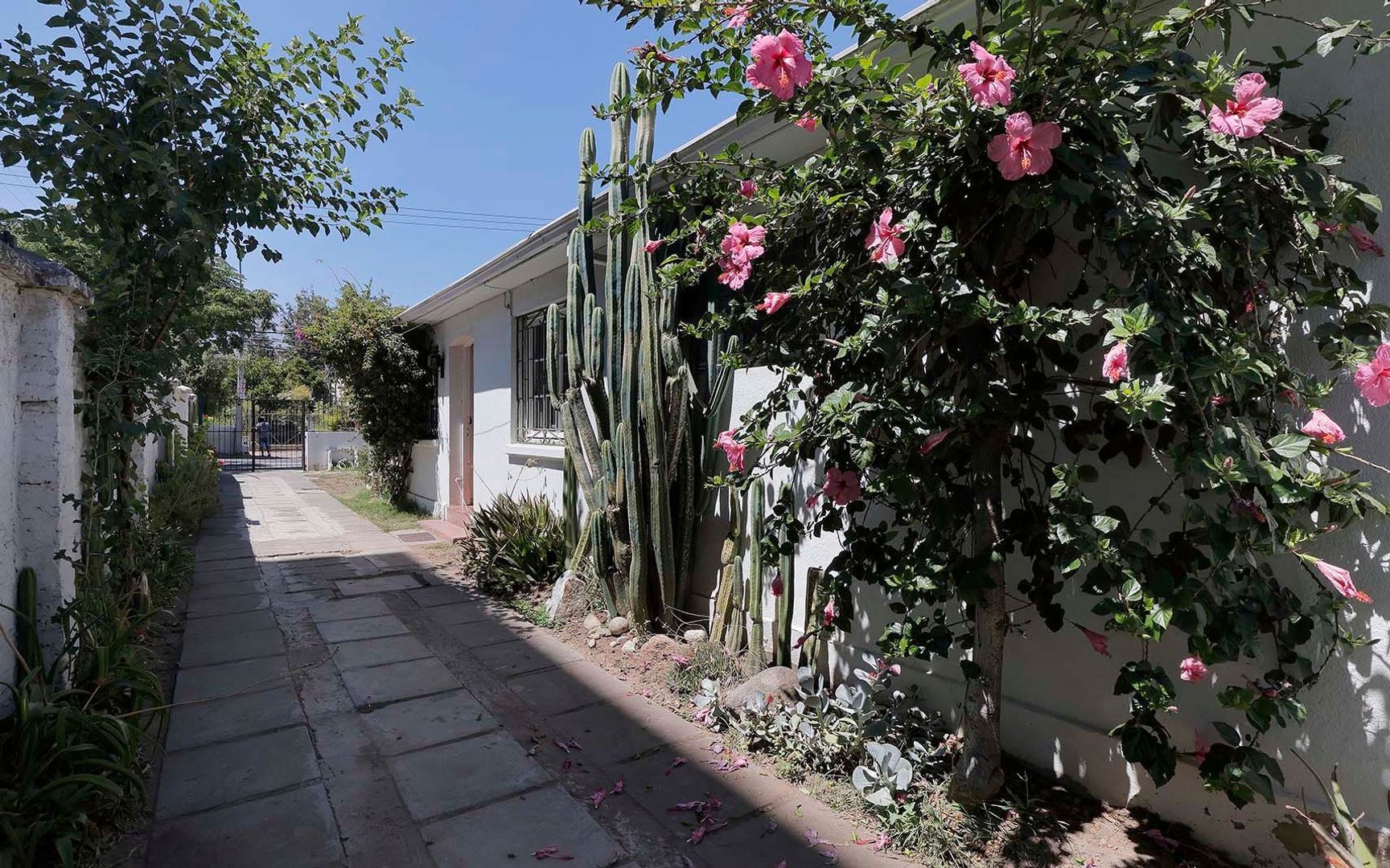 María Teresa, Santiago foto-2