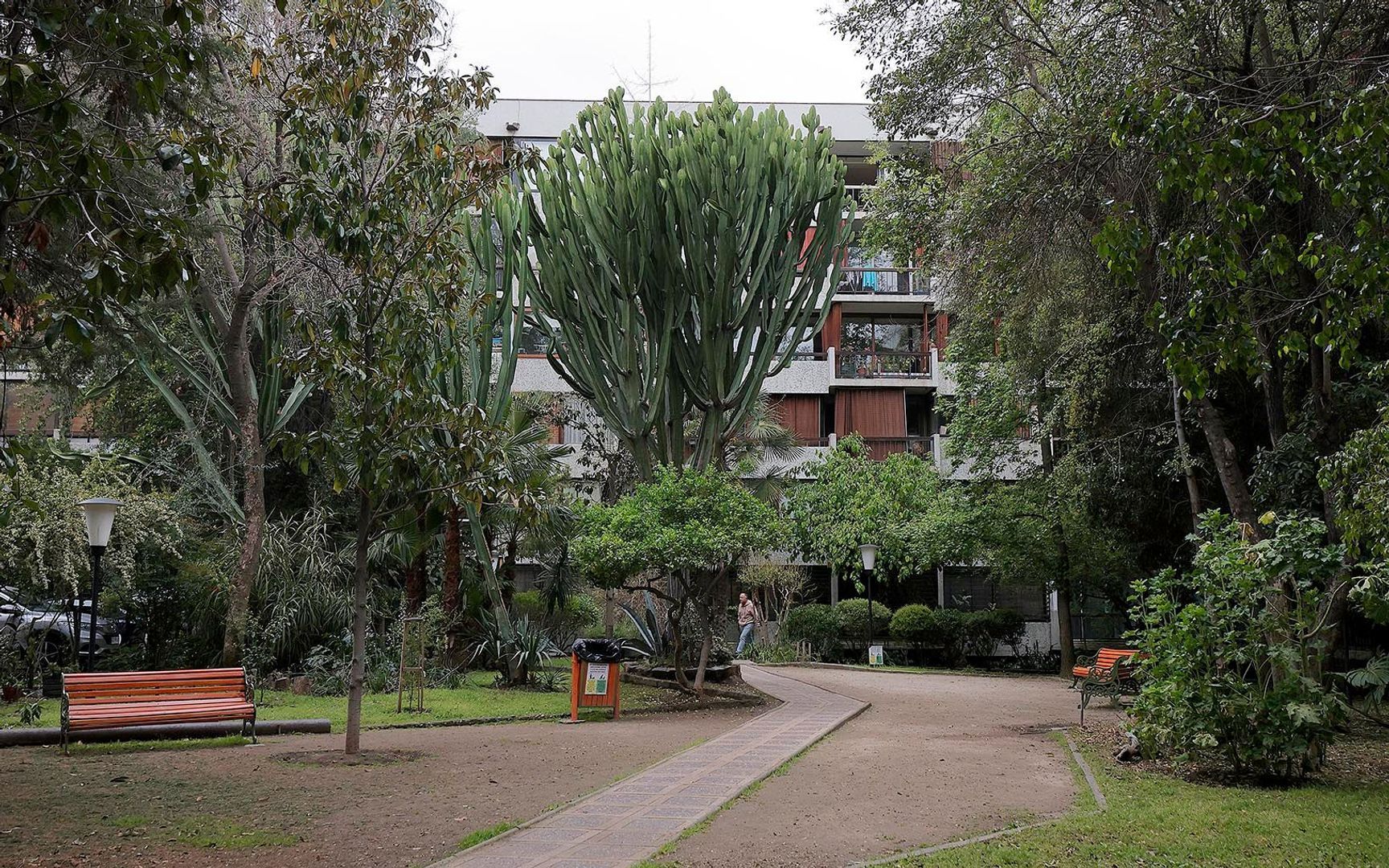 Av. Ricardo Lyon, Santiago foto-2