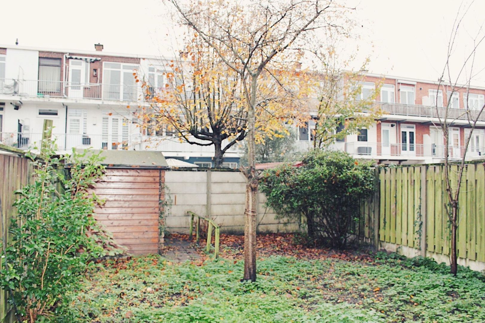 Jaarsveldstraat, Den Haag foto-5