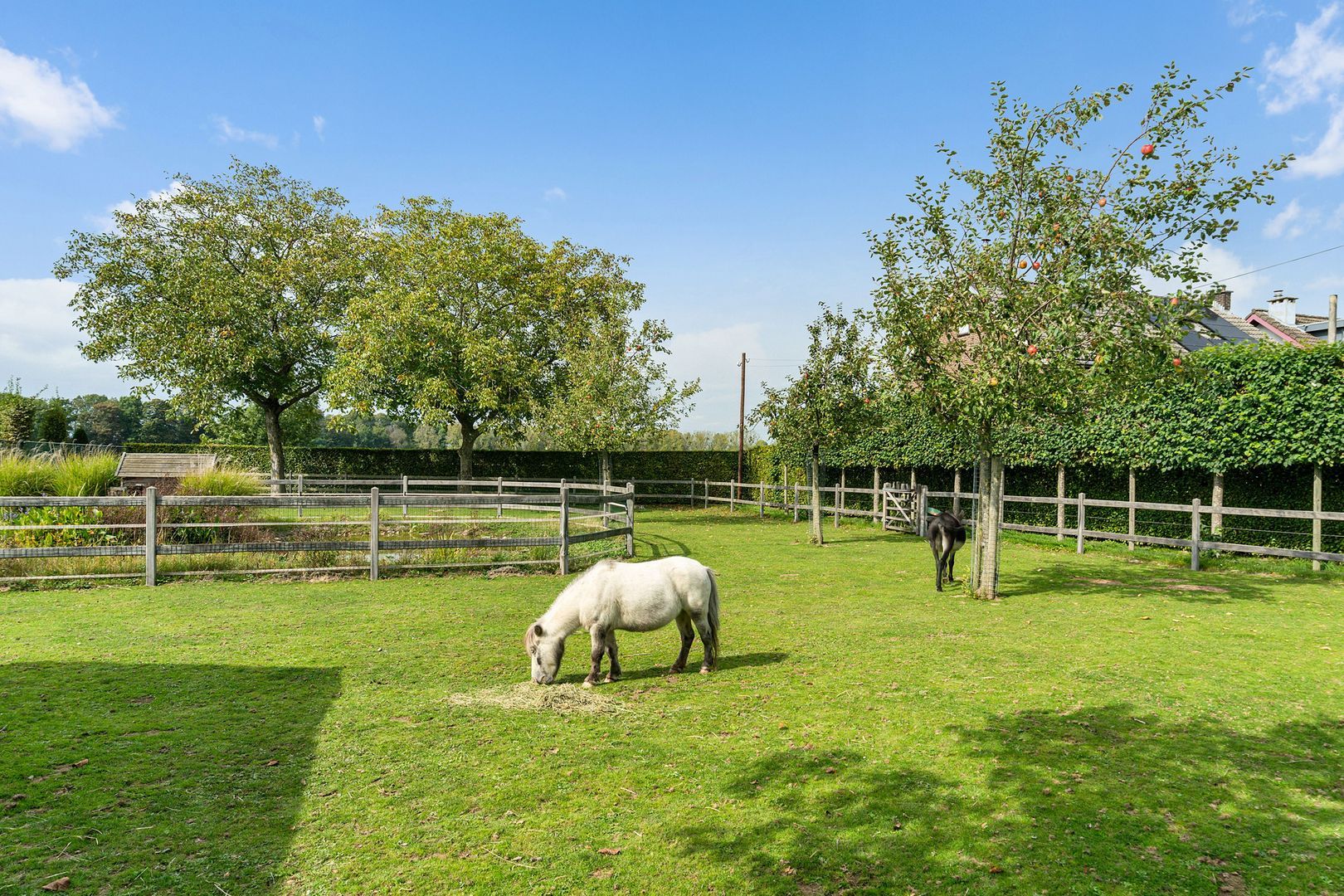 Bonaertsweg 6, Bunde foto-21