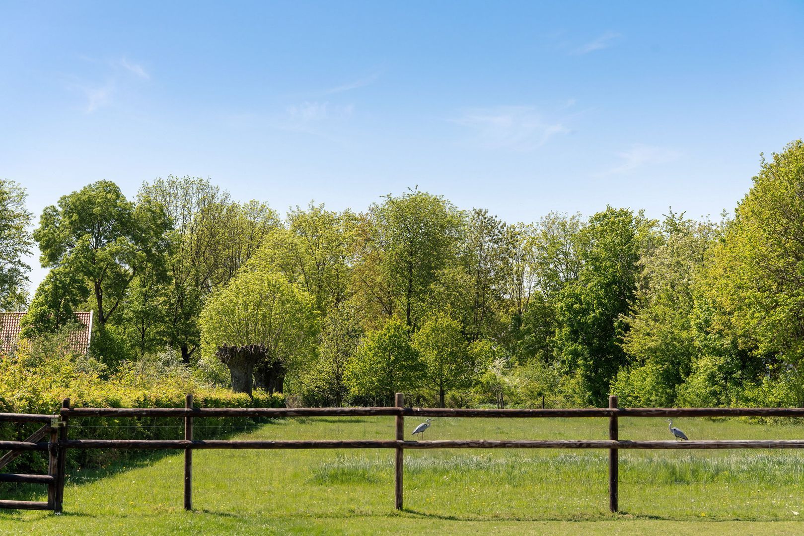Hoogcruts 2, Noorbeek foto-35