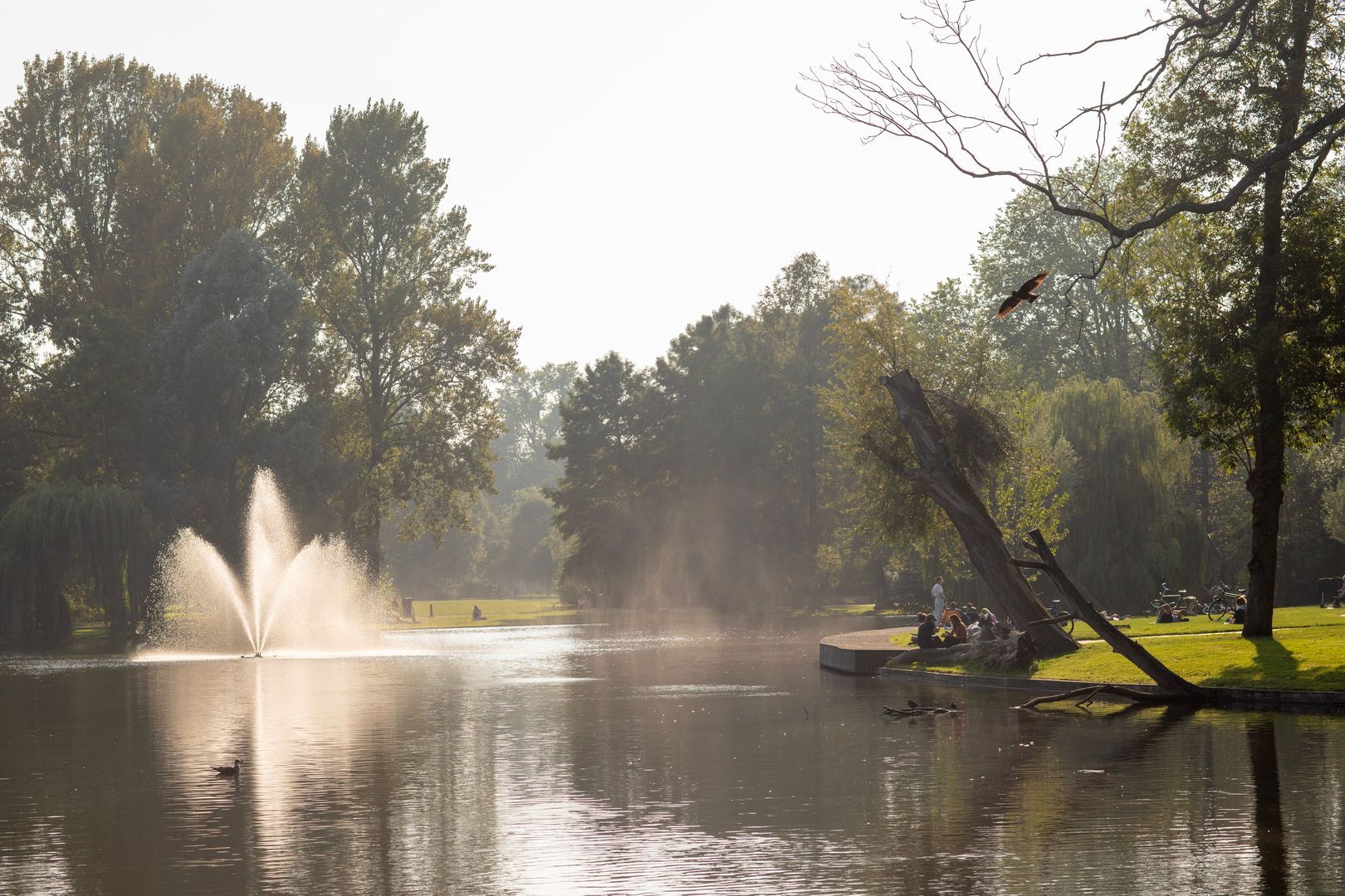 Blasiusstraat, Amsterdam foto-0