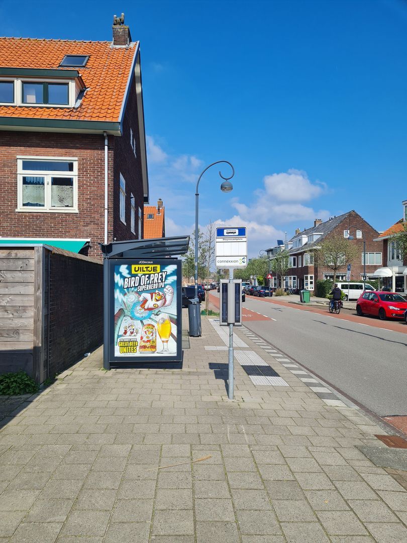 Altenastraat, Haarlem foto-19