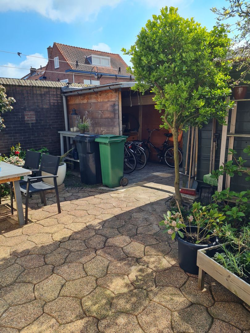 Altenastraat, Haarlem foto-15