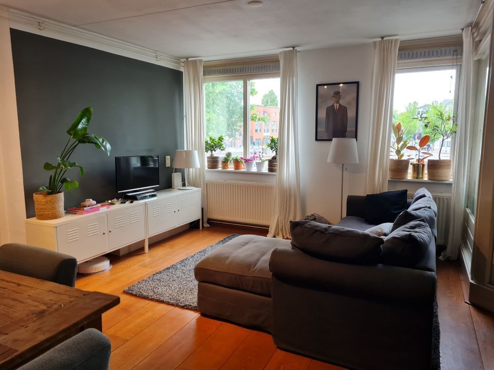 Spaarne, Haarlem