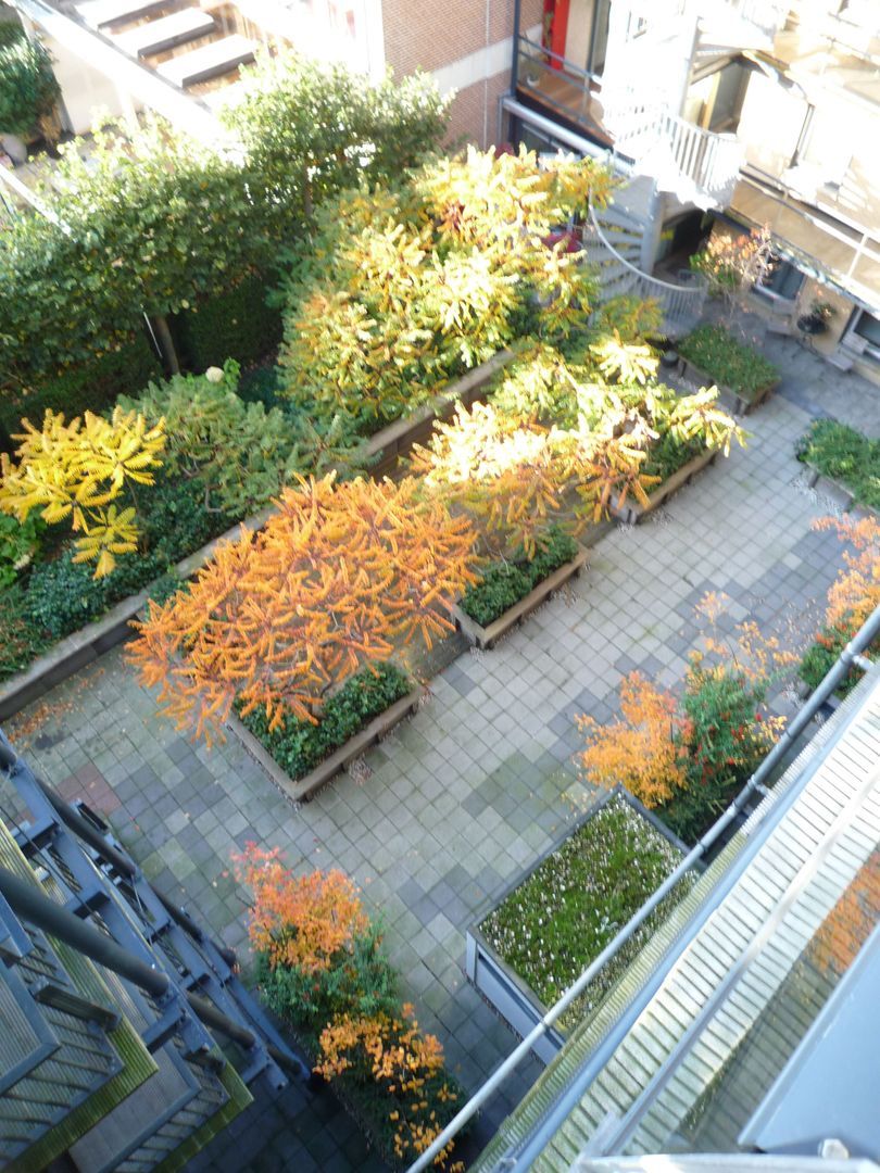 Nassauplein, Haarlem foto-25