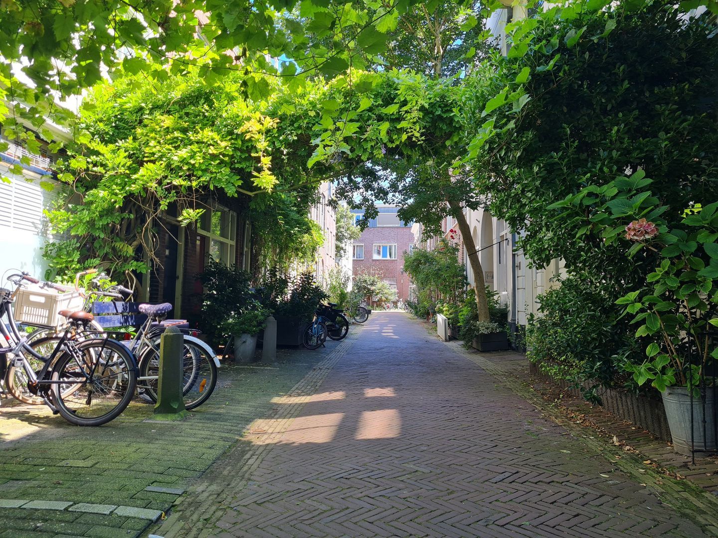 Nieuwe Kruisstraat, Haarlem foto-34