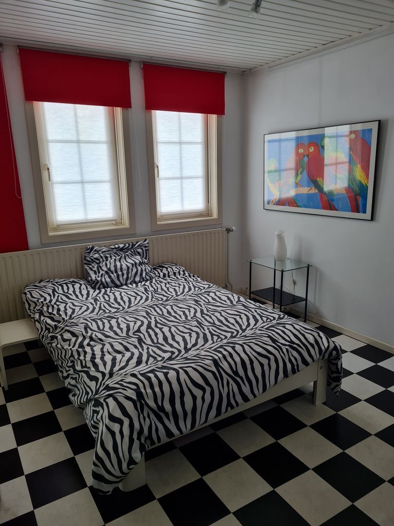 Ambachtstraat, Haarlem foto-25