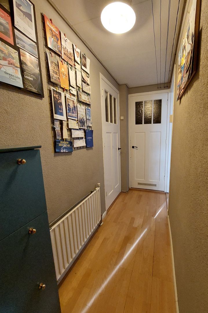 Zomervaart, Haarlem foto-10