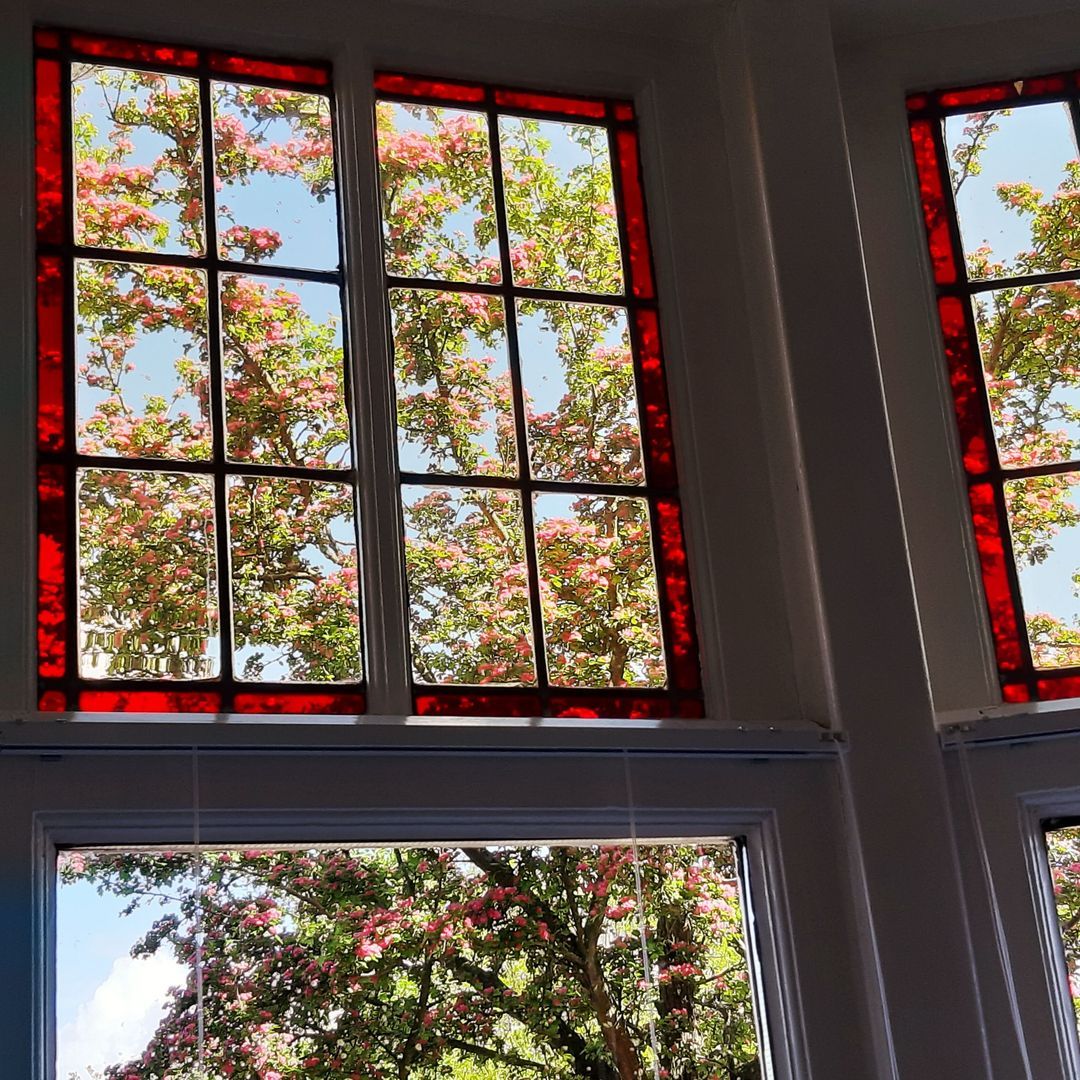 Zomervaart, Haarlem foto-11