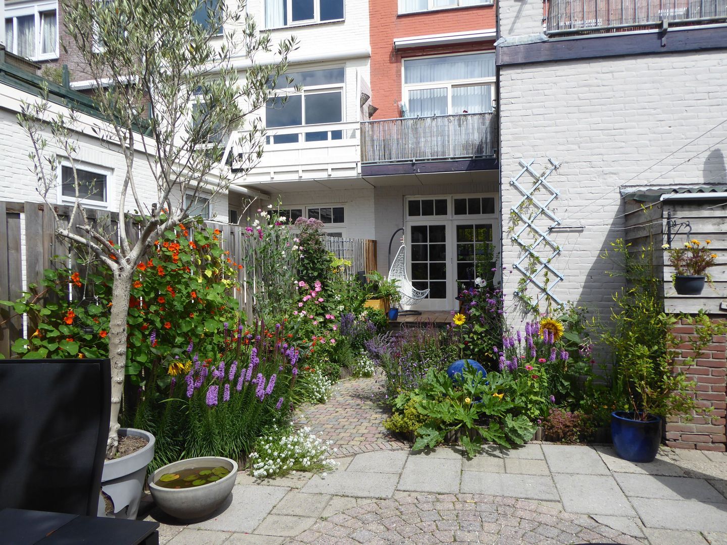 Zomervaart, Haarlem foto-13