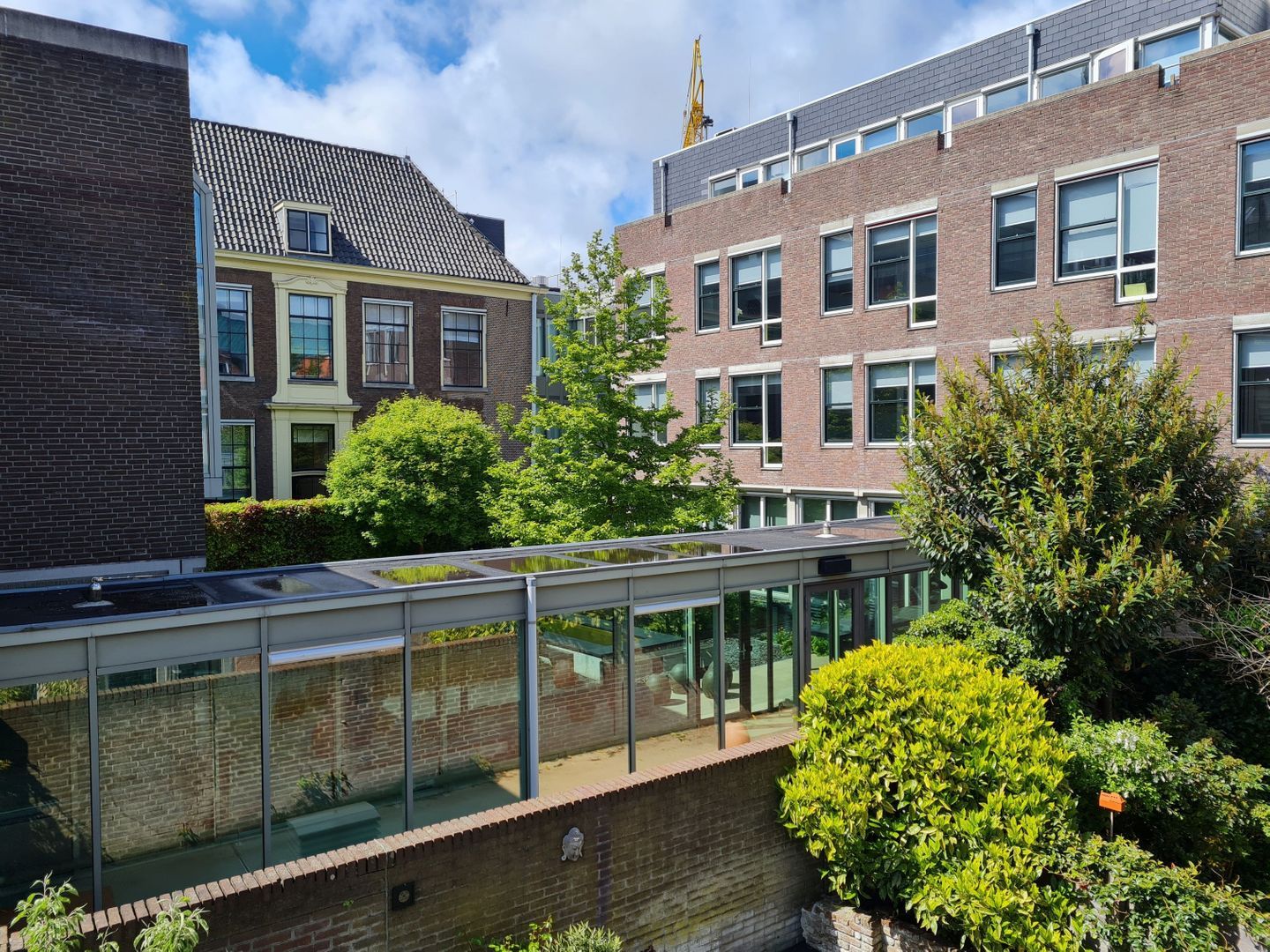 Lange Begijnestraat, Haarlem foto-5
