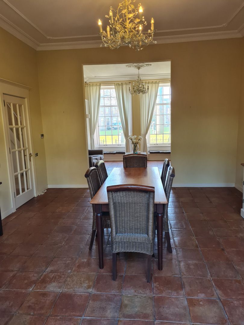 Ripperdapark, Haarlem foto-7