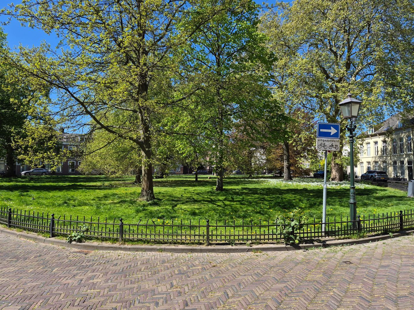 Ripperdapark, Haarlem foto-46