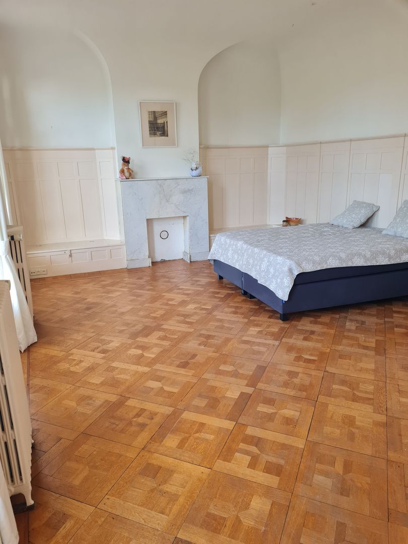 Ripperdapark, Haarlem foto-29