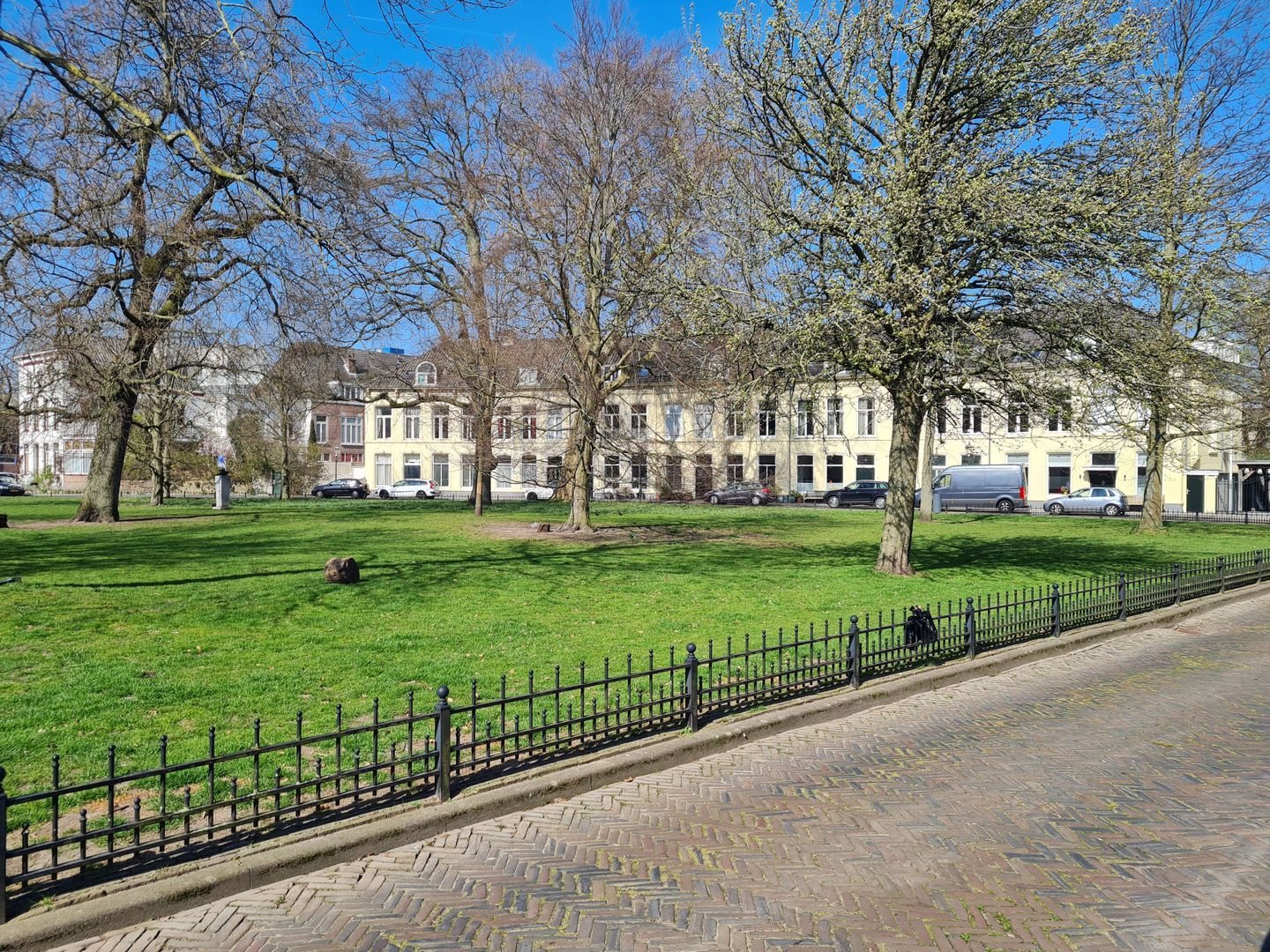 Ripperdapark, Haarlem foto-44