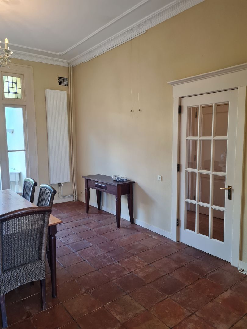 Ripperdapark, Haarlem foto-5