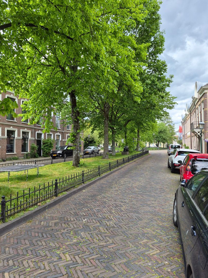 Ripperdapark, Haarlem foto-48