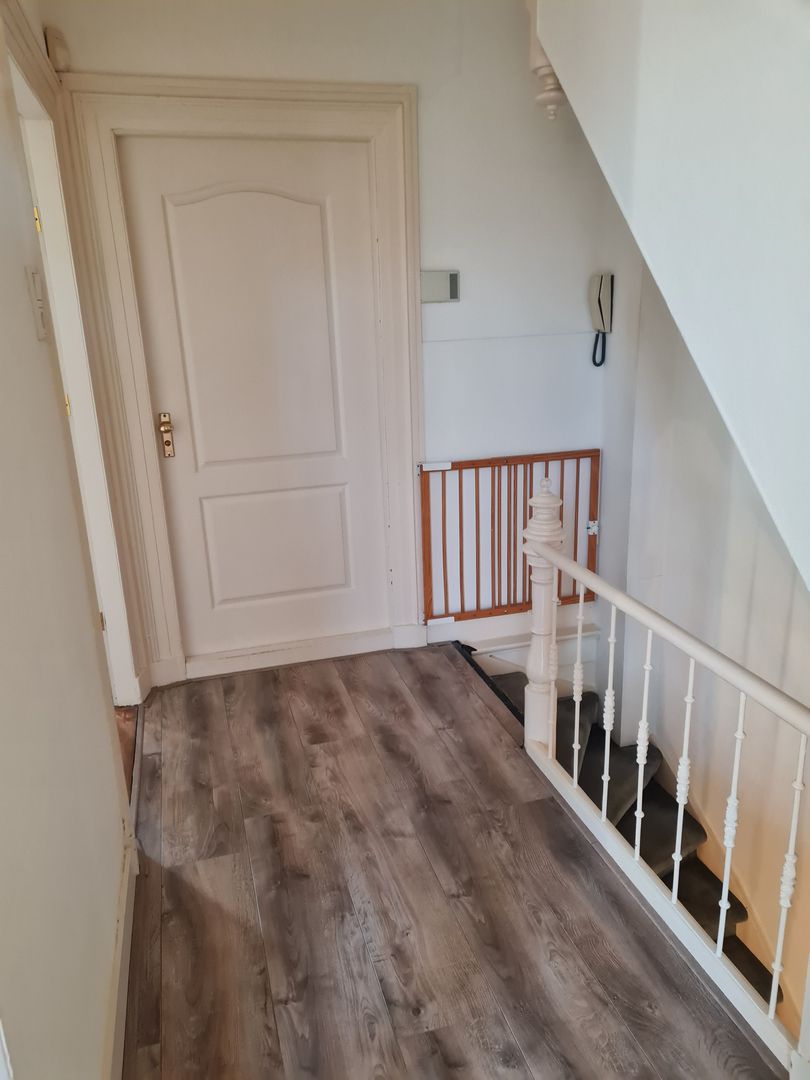 Ripperdapark, Haarlem foto-26