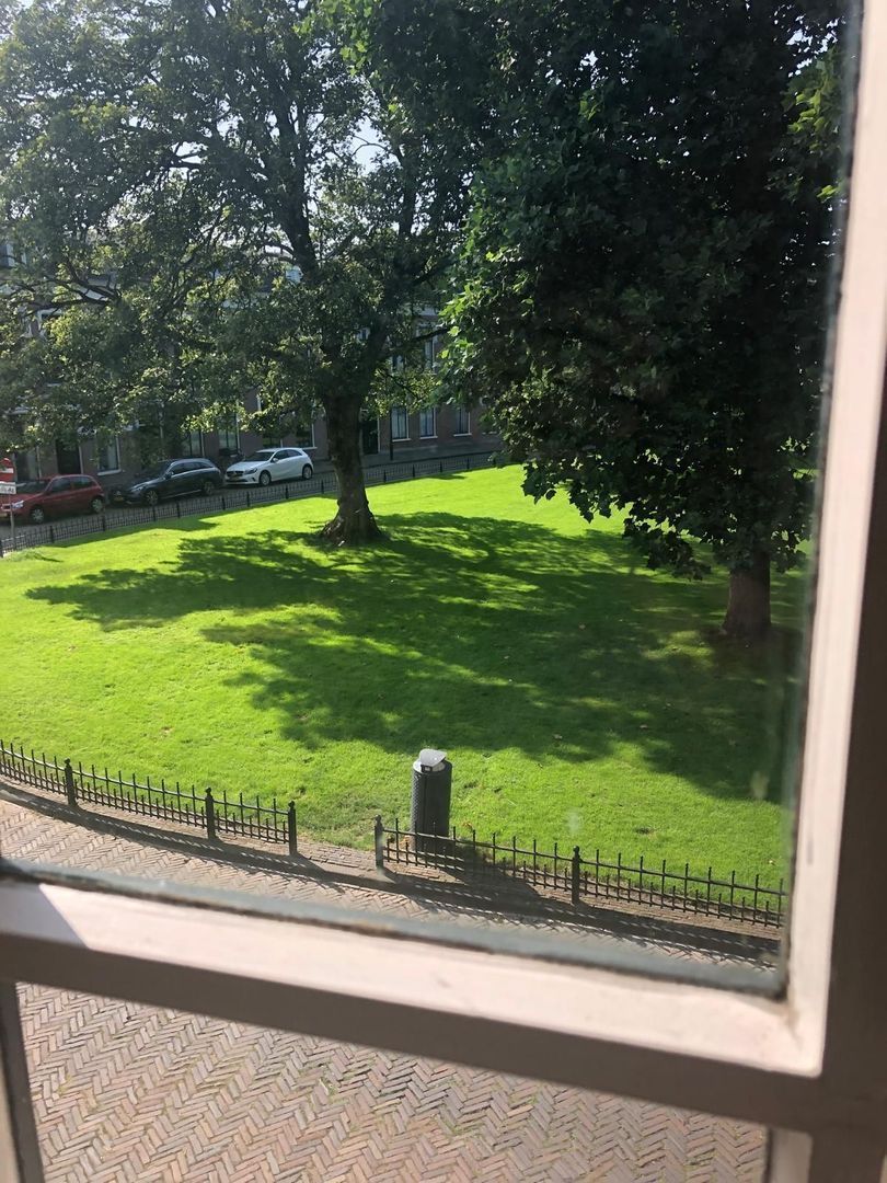 Ripperdapark, Haarlem foto-35