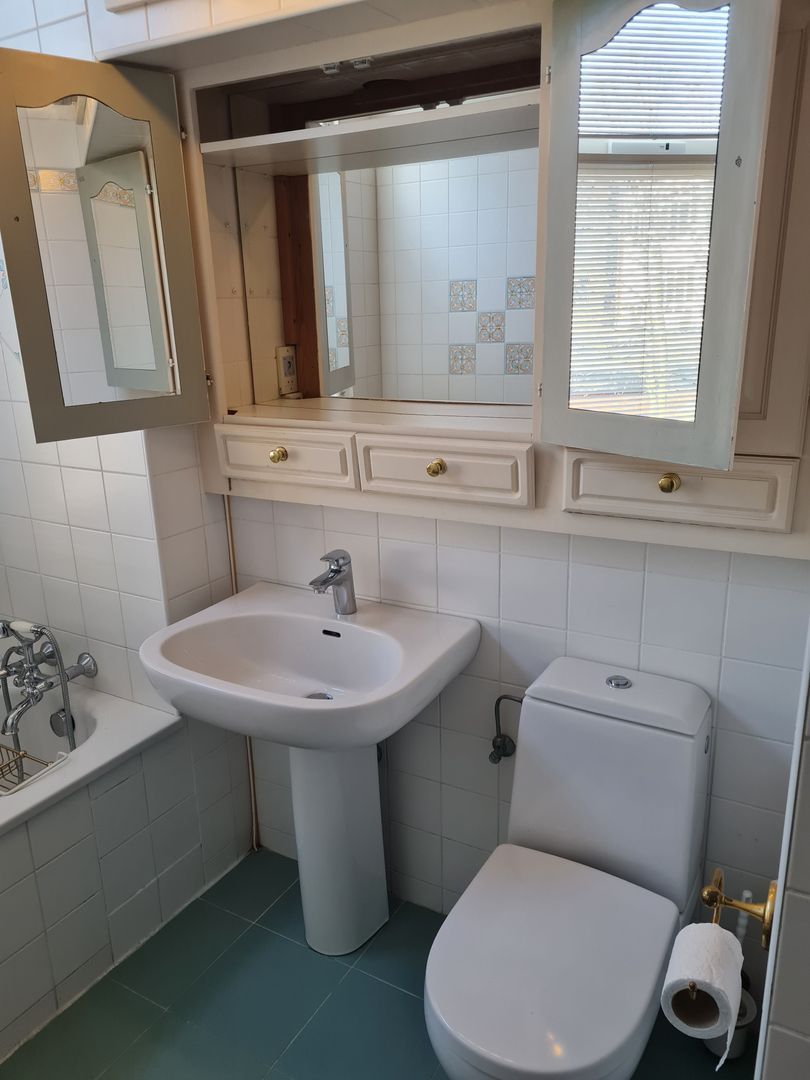 Ripperdapark, Haarlem foto-33