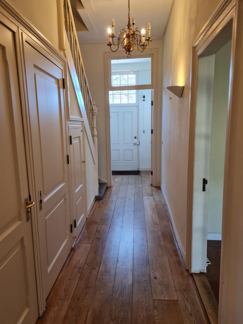 Ripperdapark, Haarlem foto-11