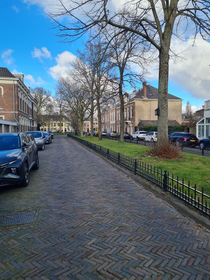 Ripperdapark, Haarlem foto-47