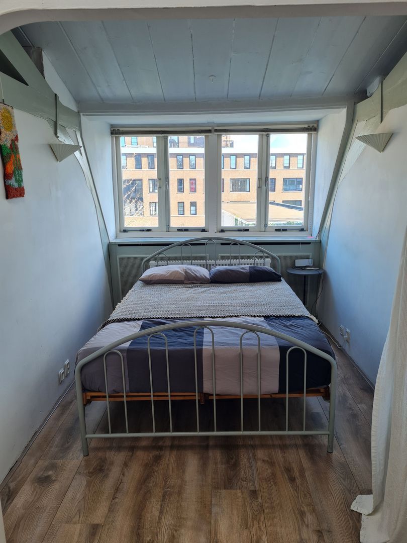 Ripperdapark, Haarlem foto-37